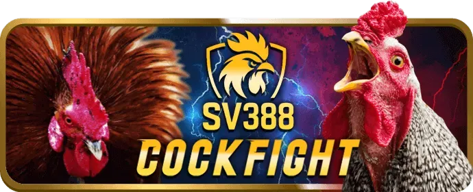 Điền thông tin cá nhân đăng ký yo888